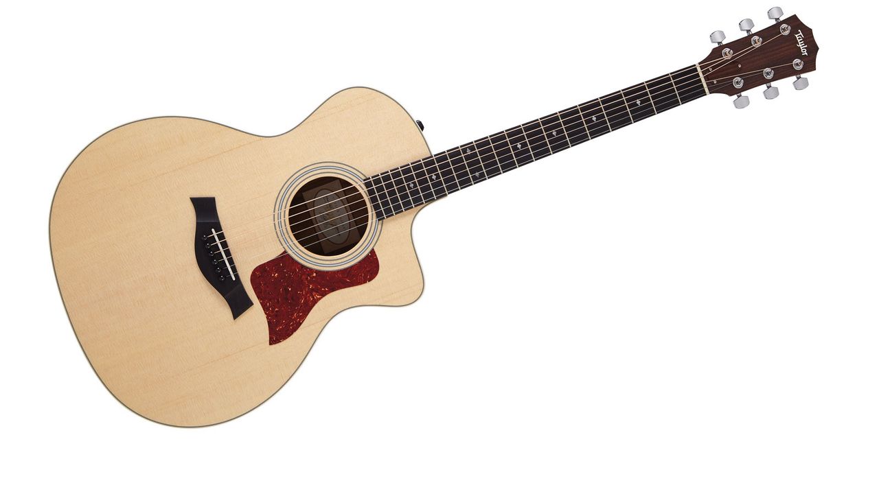 With a full-gloss finish to the body, this DLX model looks pricier than it is