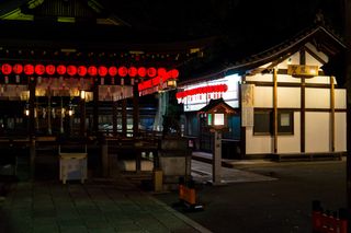 Kyoto Nights