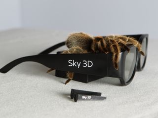 Sky's 3D spiders