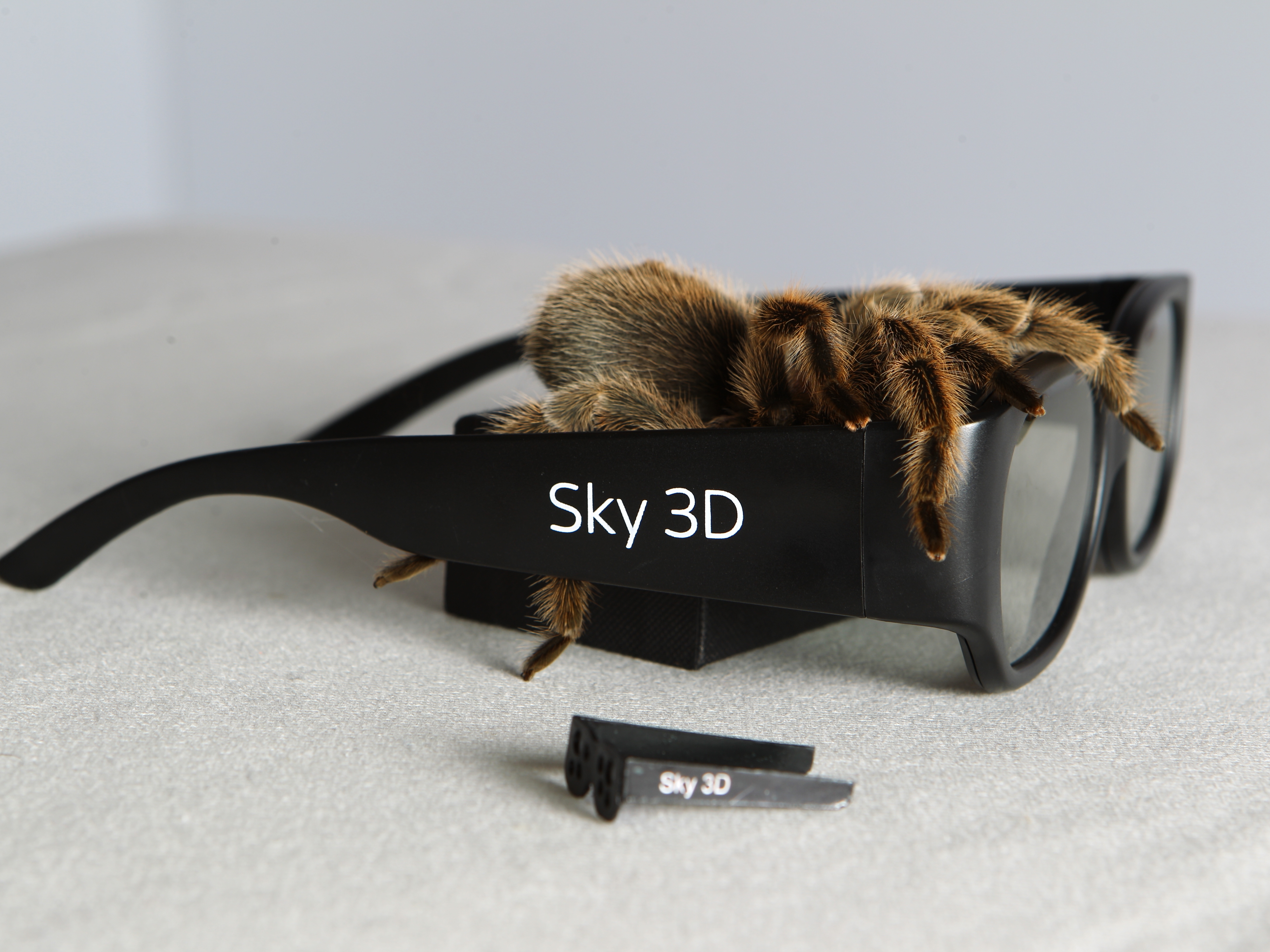 Sky&#039;s 3D spiders