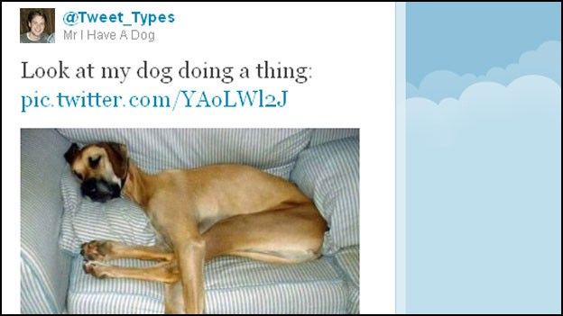 Mr I Have a Dog