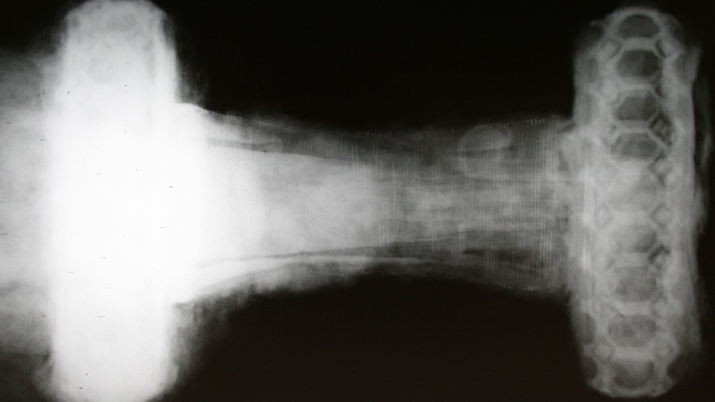 Ein Röntgenbild des Wikingerschwerts zeigt einen verzierten Griff mit einem wabenartigen Design.