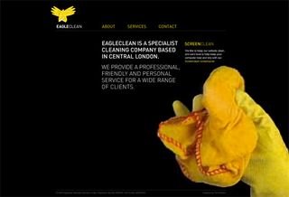 Website video background: Eagleclean