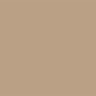 Latte brown best living room paint color