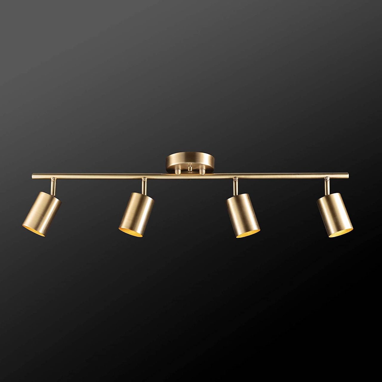4-Light Track Lighting