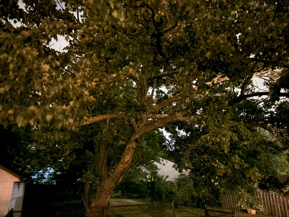 Apple iPhone 15 Plus low light sample.