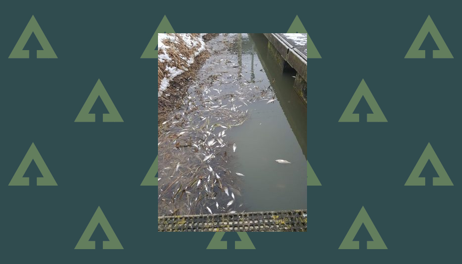 horncastle angling centre