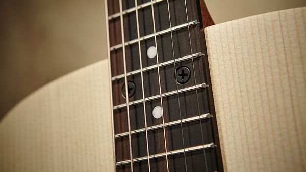 Two large screws hold the neck in place