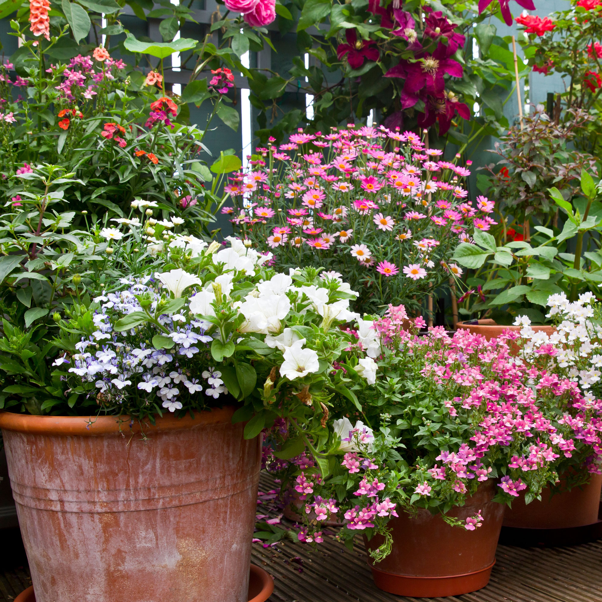 patio filled with potted plants in bloom
