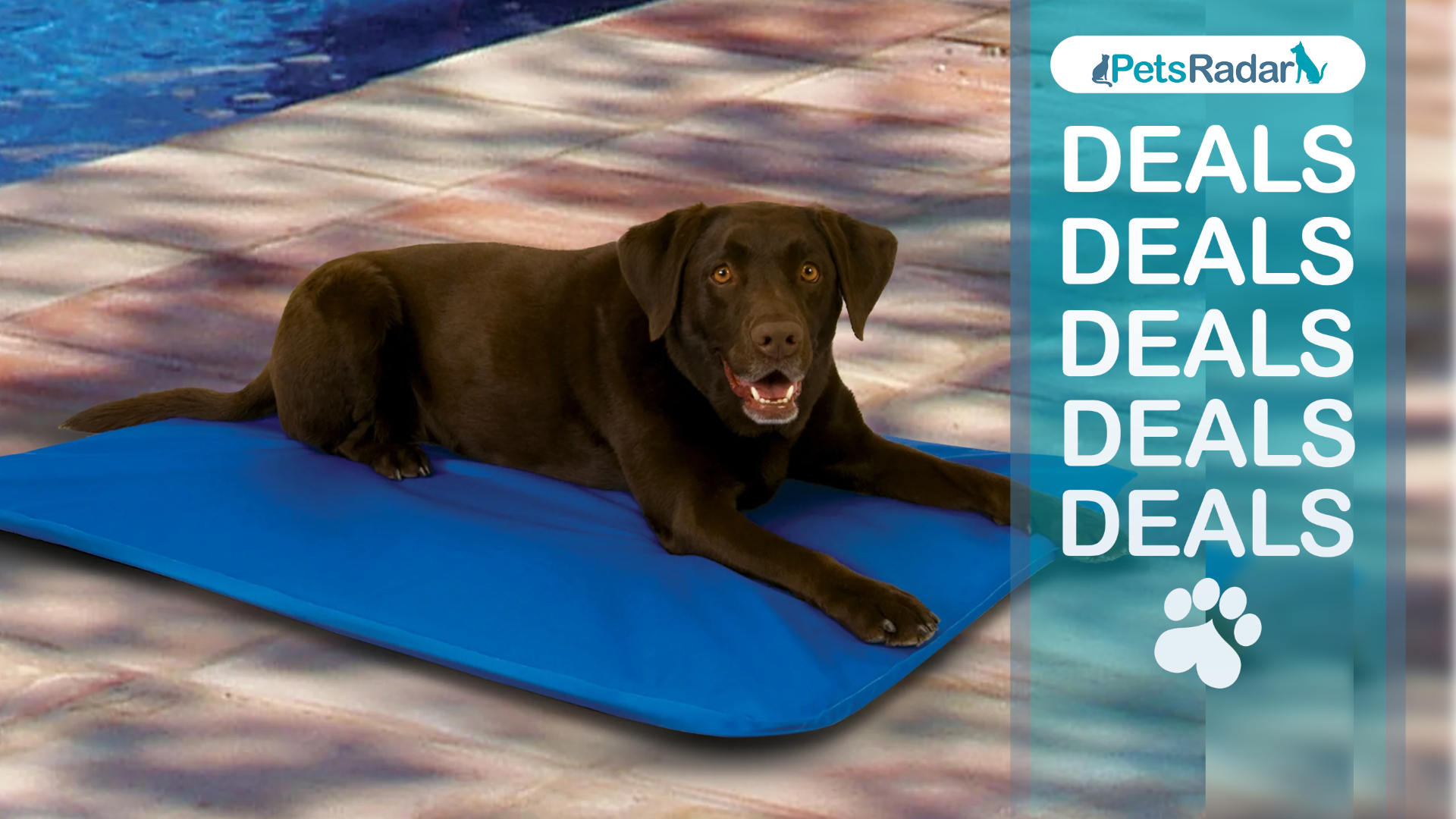 Dog lying on the K&amp;H Pet Products Cool Bed III Dog Pad by a pool with the PetsRadar logo and deals text and pawprint overlay to the right hand side