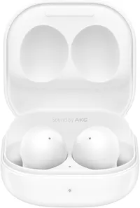 Samsung Galaxy Buds 2 Earbuds