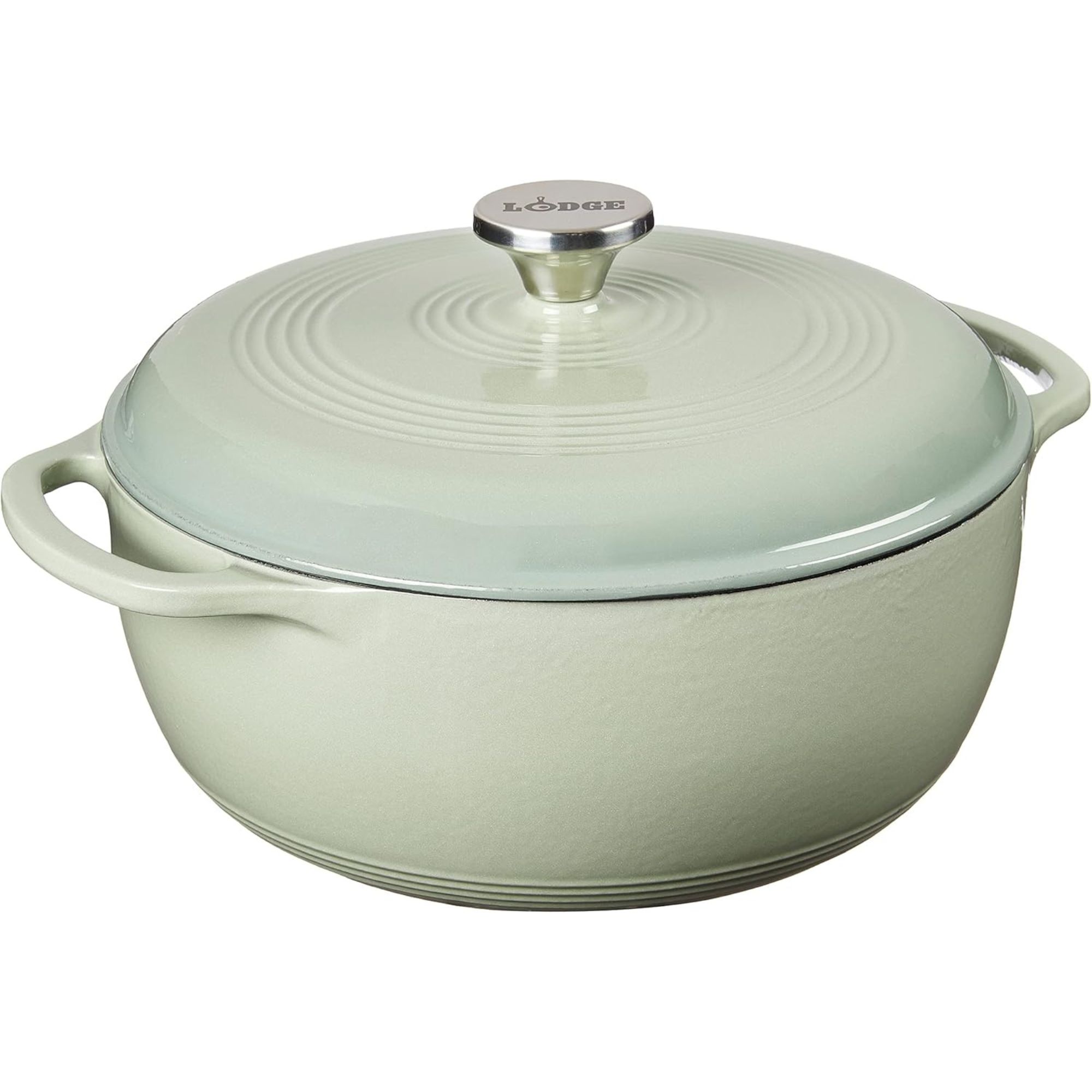 Sage green Dutch oven with silver handle