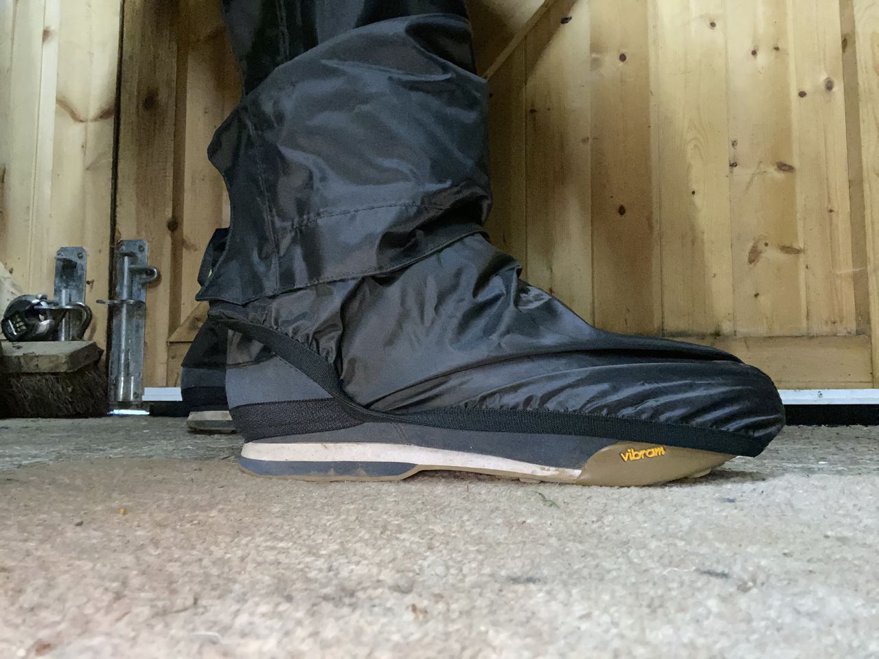 Foot