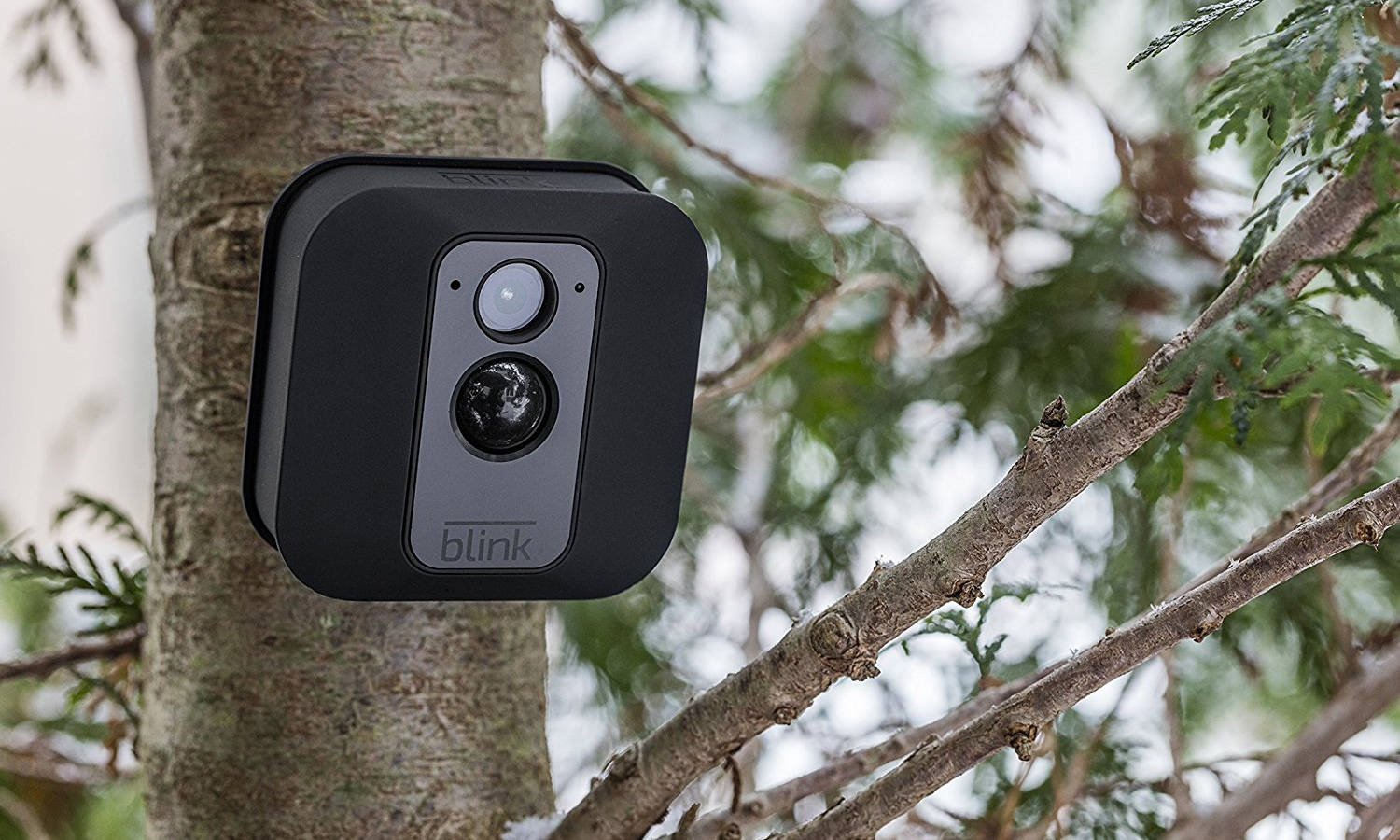 Blink XT Review: Good Budget Camera for 