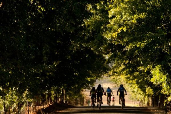 A group of mid-field riders make their way through Theuniskraal farm during stage 1 of the 2011 Absa Cape Epic Mountain Bike stage race held from Saronsberg Wine Estate in Tulbagh, South Africa on the 28 March 2011
