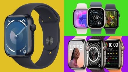 All the Apple Watches. 