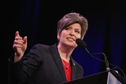 Joni Ernst.