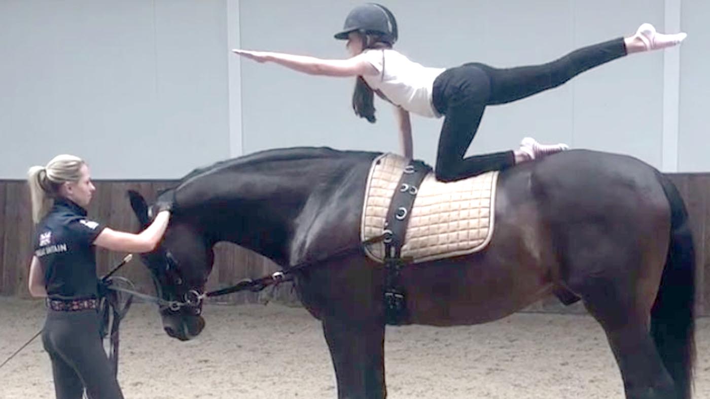 vaulting-webfeature2.jpg