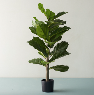 faux fig tree in a plant pot