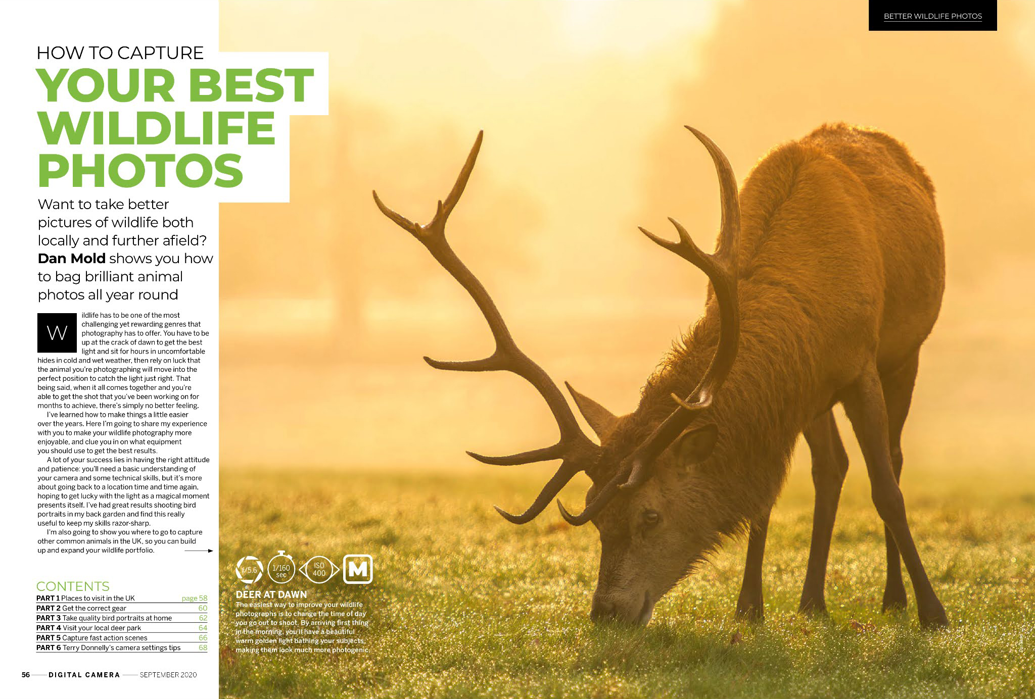 Image of DCam 233 wildlife feature