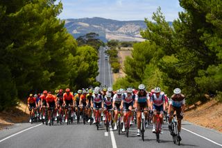 The men's peloton on stage 6 of the 2020 Tour Down Under