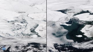 An image on the left shows the iced-over Bering Sea this time of year in 2014. On the right is the Bering Sea melted as of Sunday, March 31.