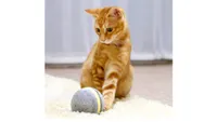 Automated cat toys: Cat playing with a Cheerble Wicked Ball