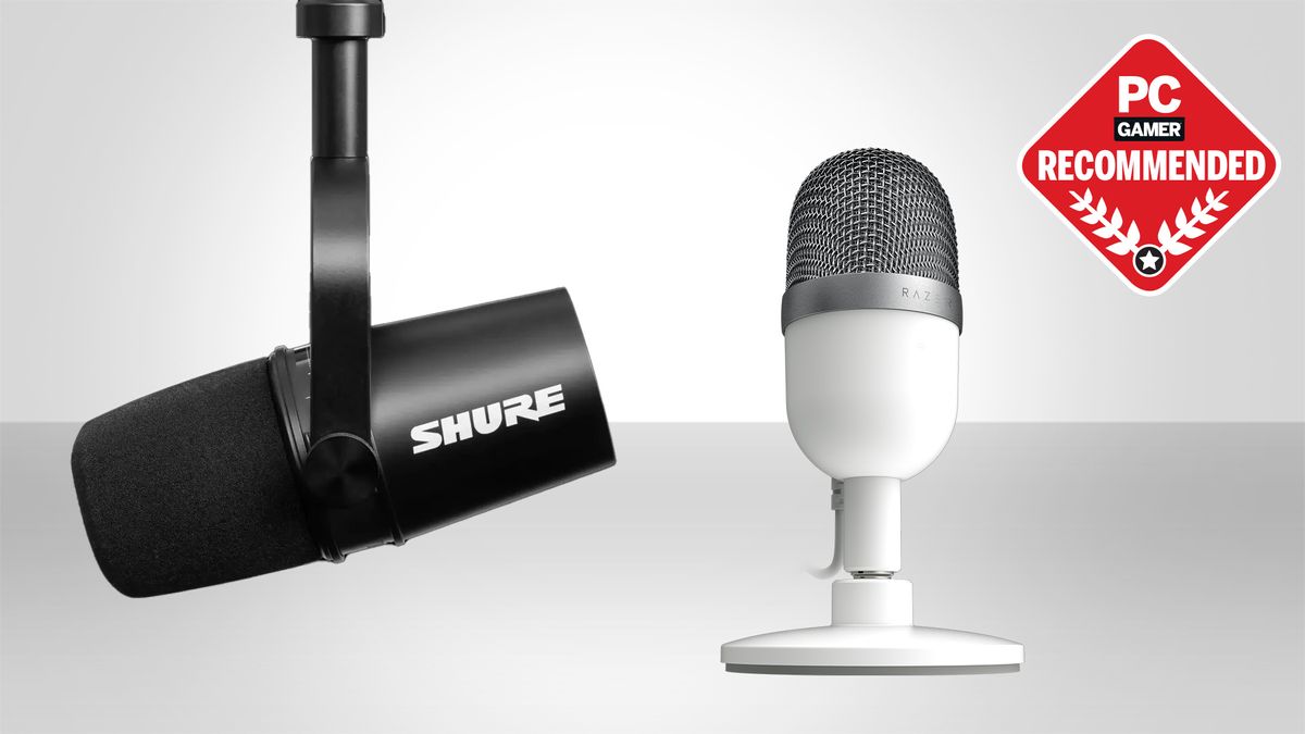 The Best Microphones for 2024