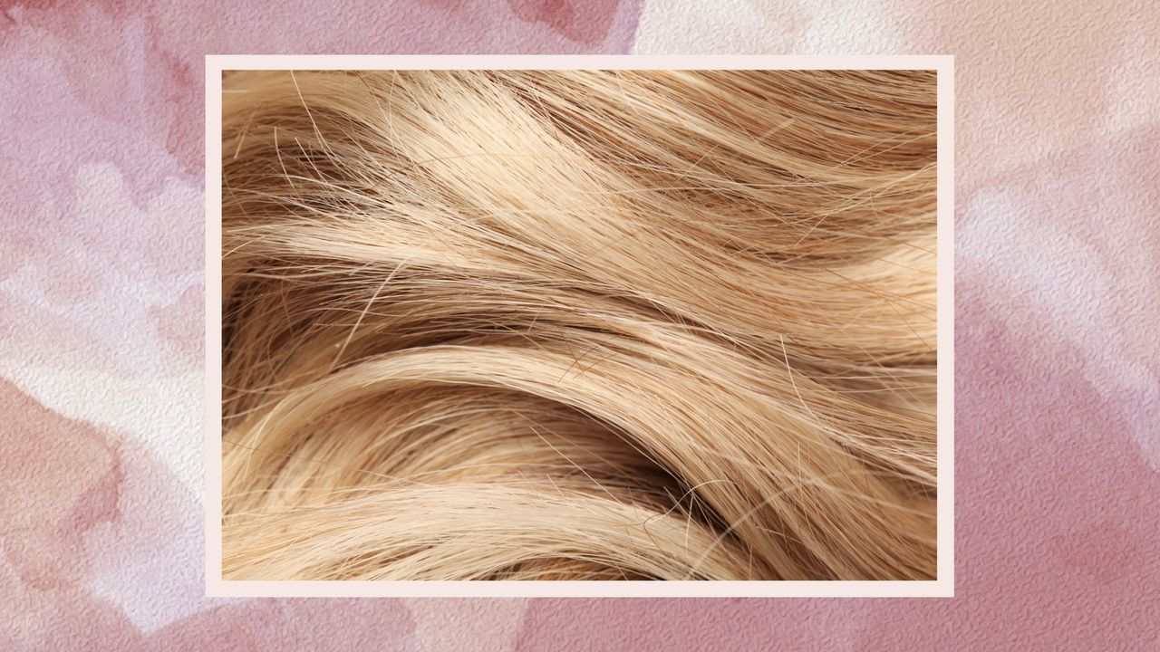 A close up of long, shiny and tousled blonde hair to illustrate &#039;how to go blonde&#039;/ in a pink, purple and cream watercolour-style template