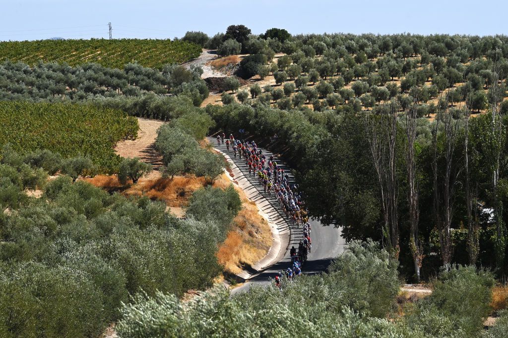 MONTILLA SPAIN SEPTEMBER 02 A general view of the peloton competing during the 77th Tour of Spain 2022 Stage 13 a 1684km stage from Ronda to Montilla 315m LaVuelta22 WorldTour on September 02 2022 in Montilla Spain Photo by Justin SetterfieldGetty Images
