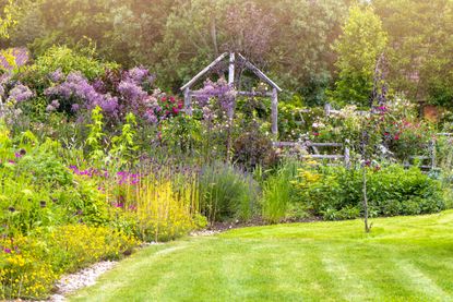 Beautiful English Cottage summer garden with rustic wooden pergola in soft sunshine - stock photo