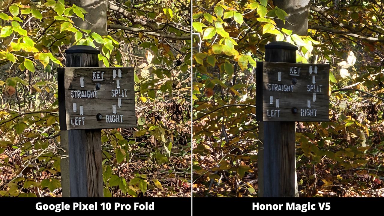 Google Pixel 10 Pro Fold vs. Honor Magic V5 camera comparisons