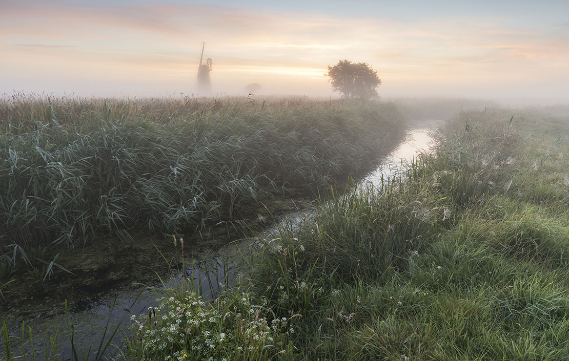 &#039;Through the Mist&#039; by Justin Minns (#162554)