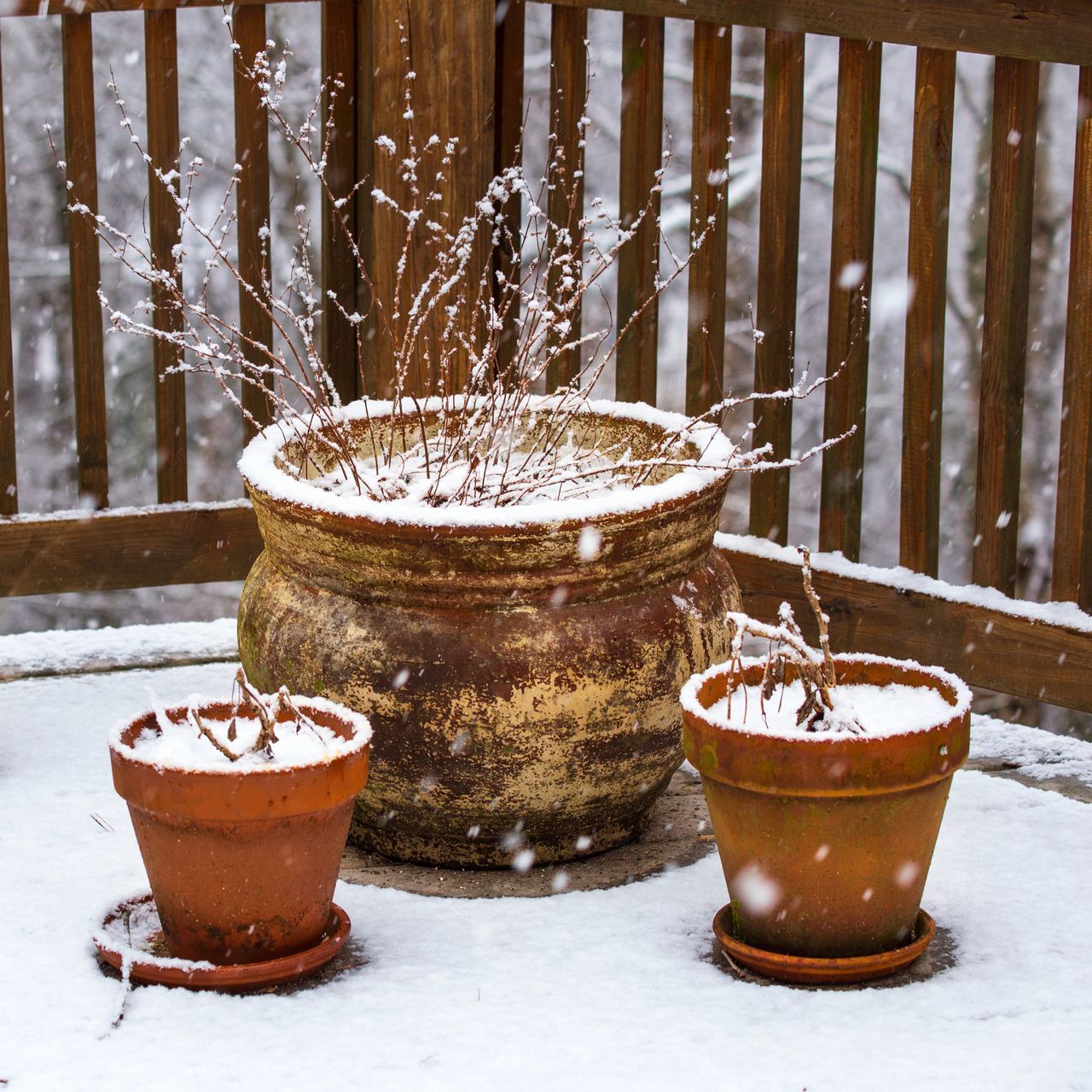 potted plants on a snowy patio