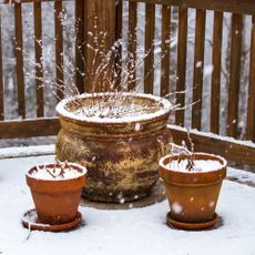 potted plants on a snowy patio