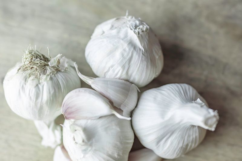 Tips & Information About Garlic 