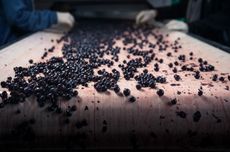 Chianti Classico Riserva 2018