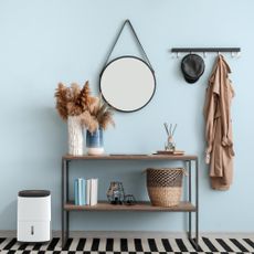 Dehumidifier in a hallway with console table and mirror hanging on wall