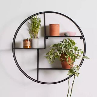 Round wall mounted shelves with plants on it
