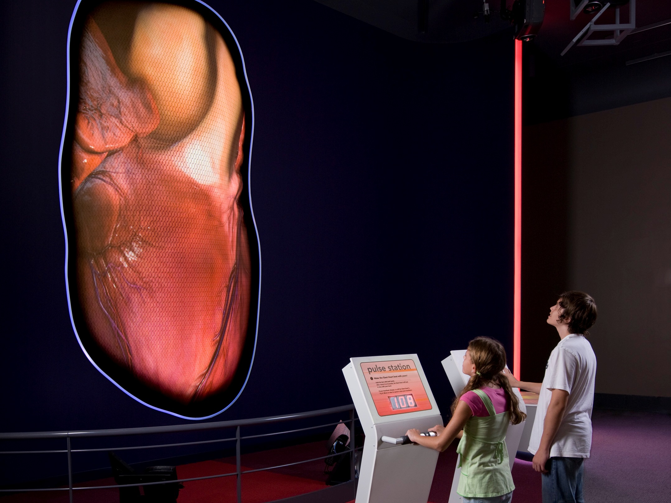 Human heart sculpture