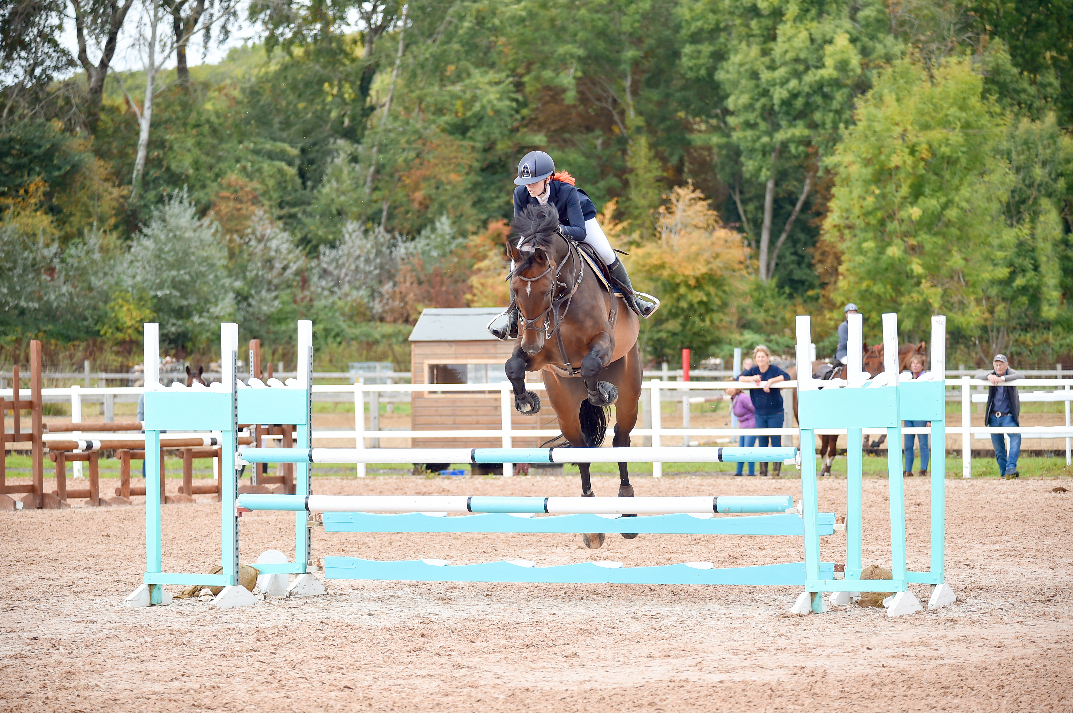 Phoebe Ewens on Quantum Trost in the Blue Chip Championships Diamond qualifier showjumping