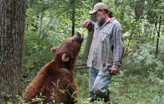 Jeff Watson has been ‘Momma Bear’ to Bob and Screech for four years, after rescuing them from a bear park in Georgia