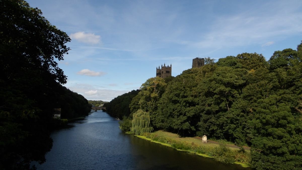 Images taken with the Kodak PixPro AZ653 bridge camera