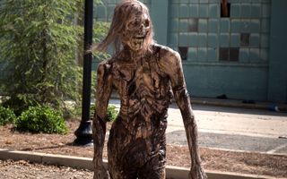 The Walking Dead (2010 - Present)