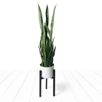 8. Faux Snake Plant | $69.97 at Amazon