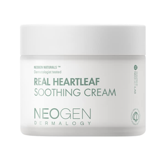 Dermalogy by Neogenlab Real Heartleaf Soothing Cream 80g