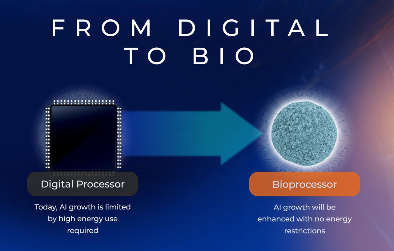 FinalSpark bioprocessors