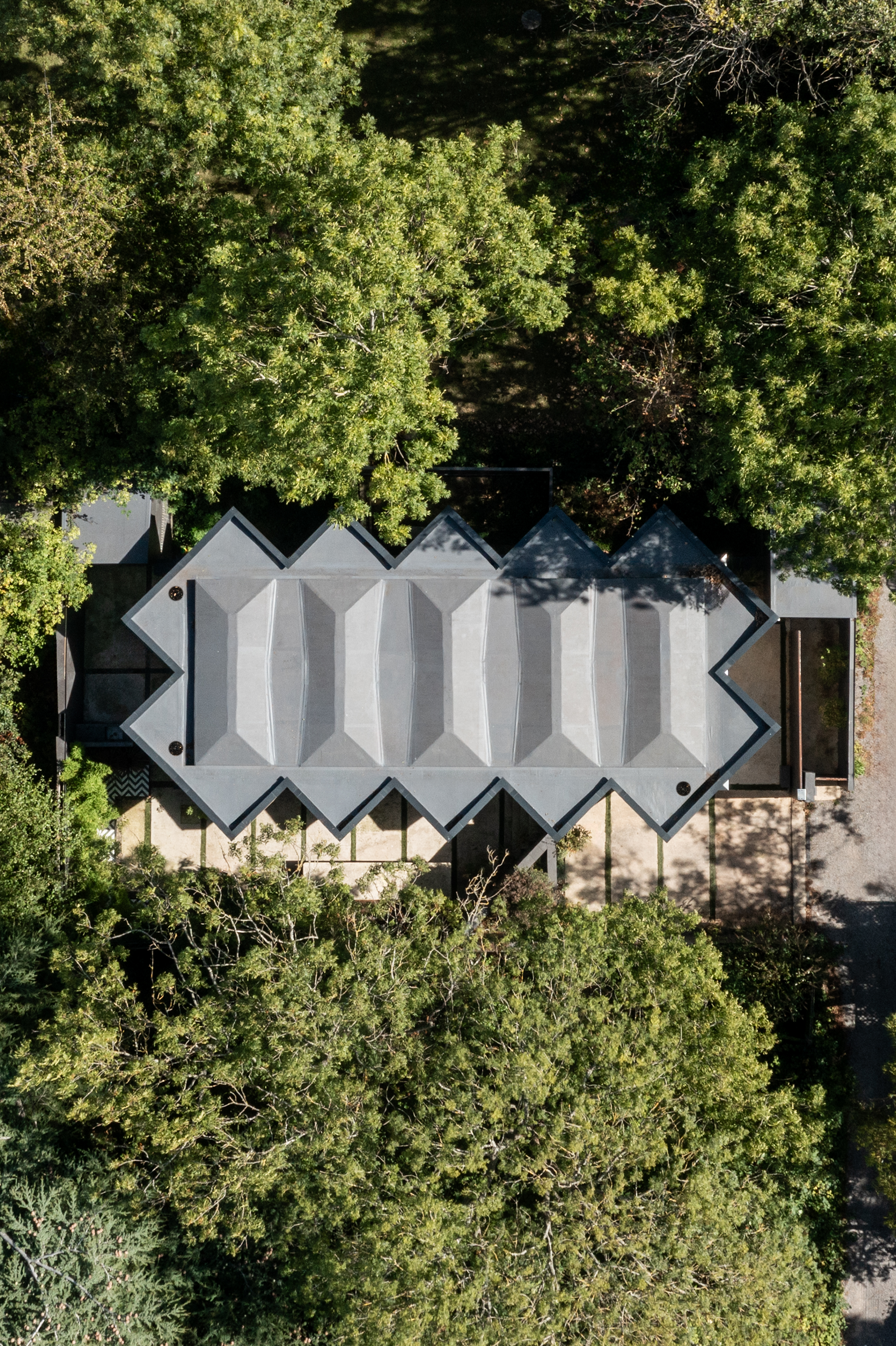 arbour house, a low, one storey home in a back year among trees, but with a distinctive angular roof