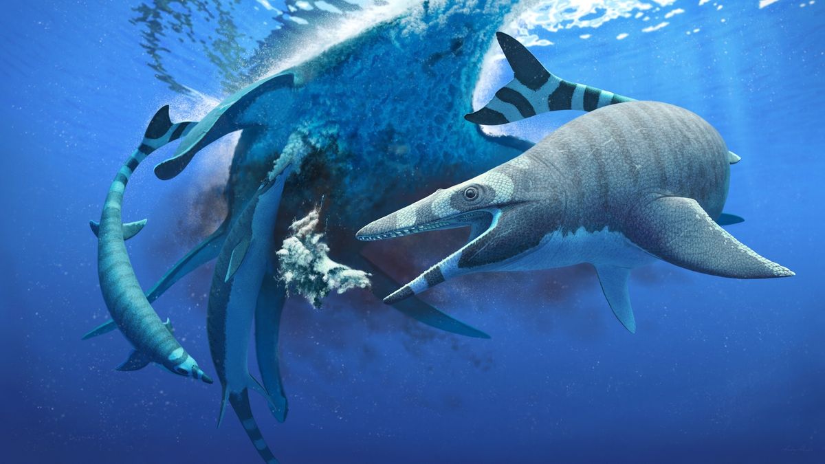 Mini sea monster had teeth as sharp as a saw blade - Livescience.com