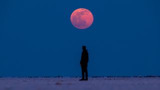 person standing looking at the blood moon above